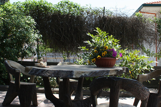 B&B Athena Garden - photo 1