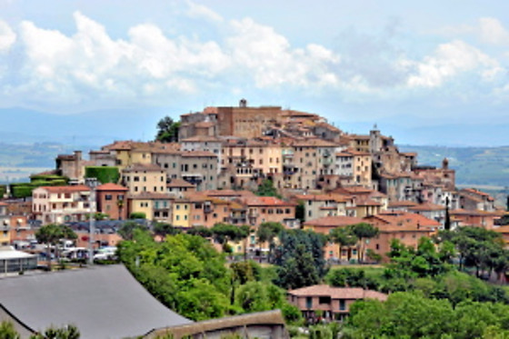 Hotel Quisisana - photo 13