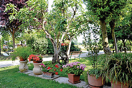 L'ALVEARE Foresteria Lombarda