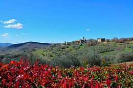 Casale Poggio Colpiccione