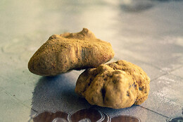 Truffle Experience