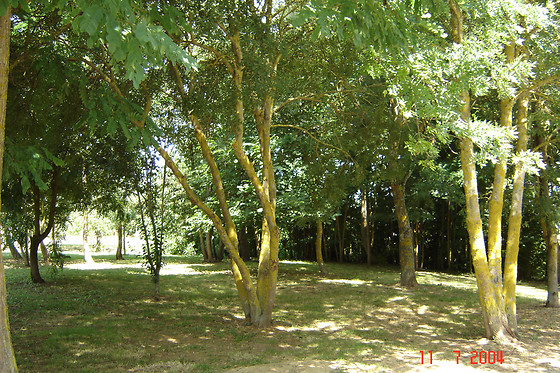 L'Oustaou - photo 2