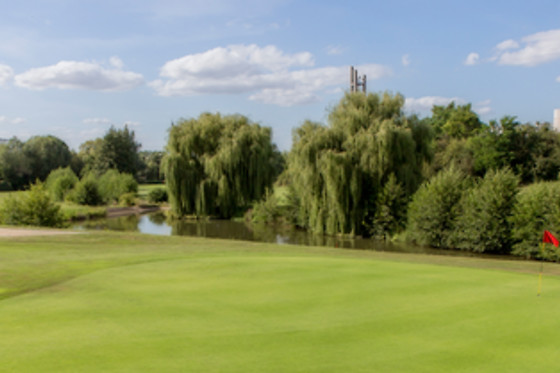 Ugolf Metz - photo 9