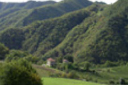 Azienda Agrituristica Badia di Susinana