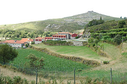 Casas de Campo Monte de Abades